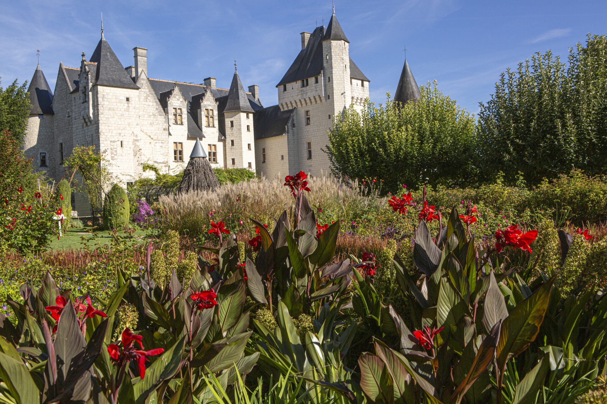 Septembre@chateauduRivau_24092023-_Y7A1361.Plaigneaujpg Collection de roses parfumées Château du Rivau