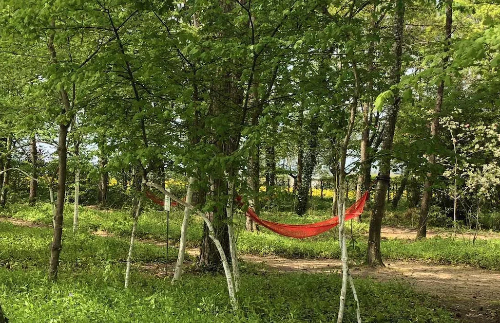 foret enchantée
