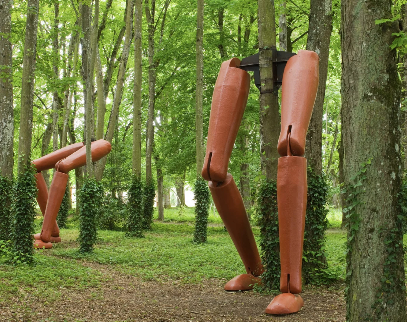 jardin de raiponce