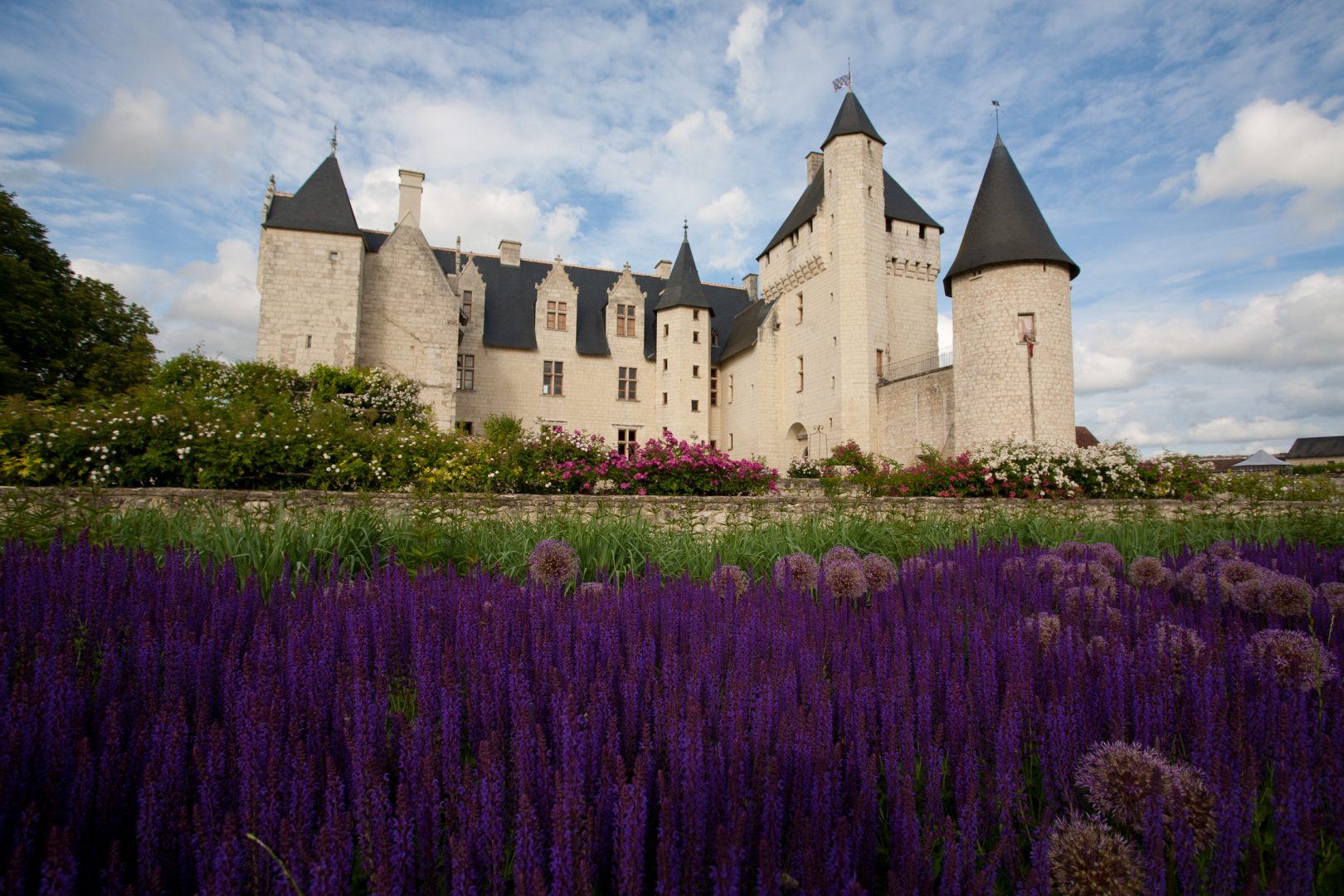 jardin-raiponse-rivau Jardin de raiponse
