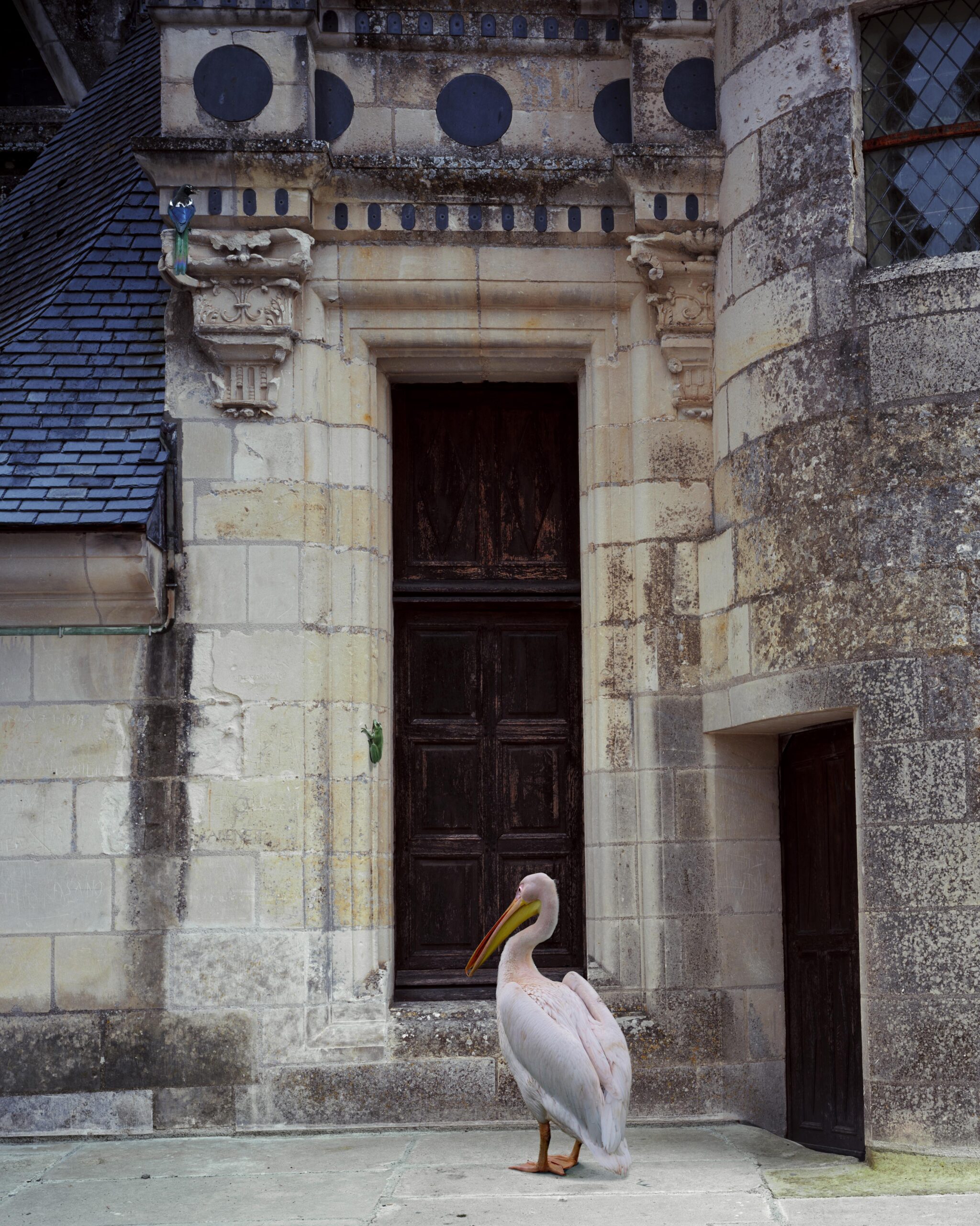 KarenKnorr.King'sAudience©Karen Knorr Eugenio Merino, Celebrating destruction, exposition au Château du Rivau