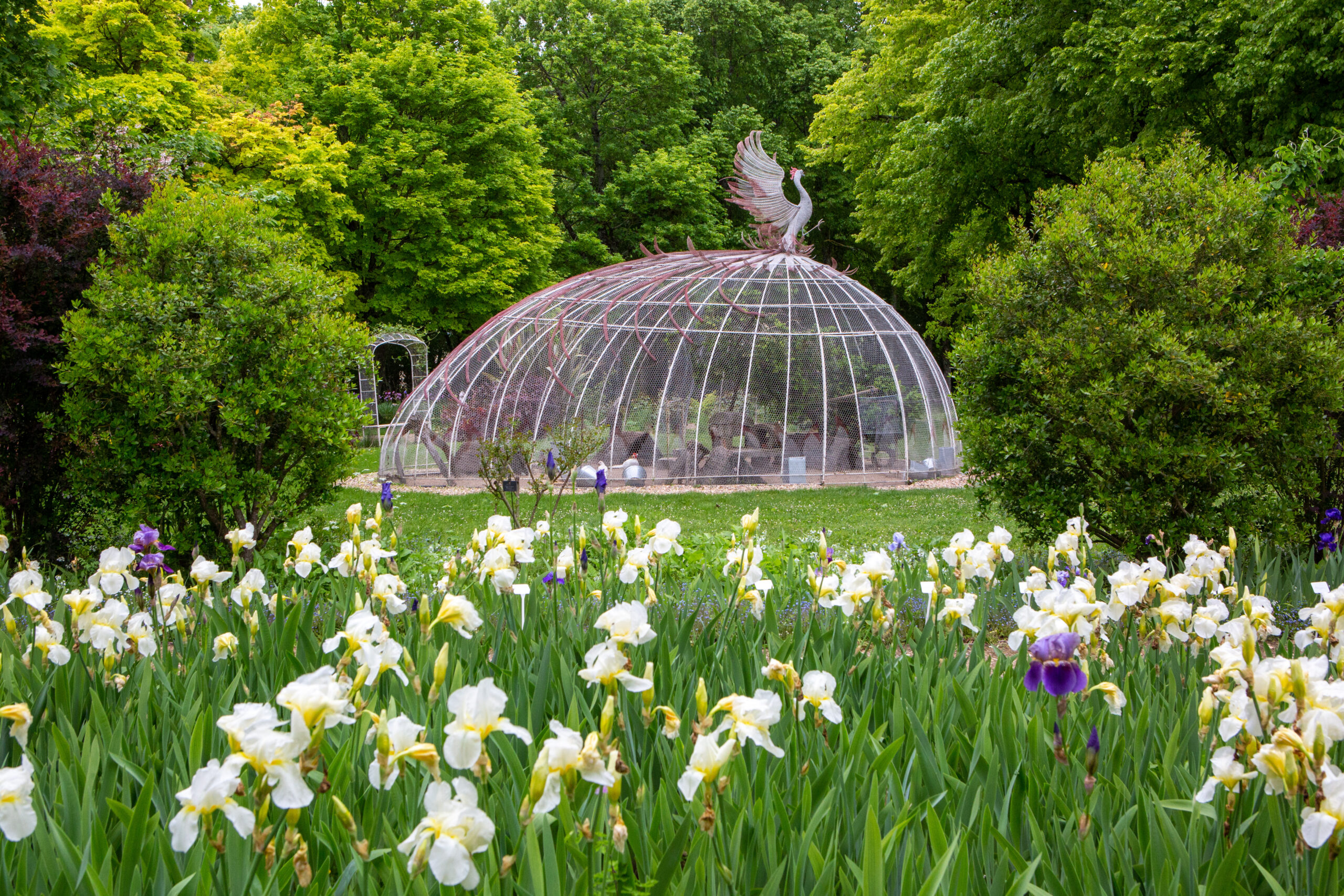 Jardins secret au Rivau