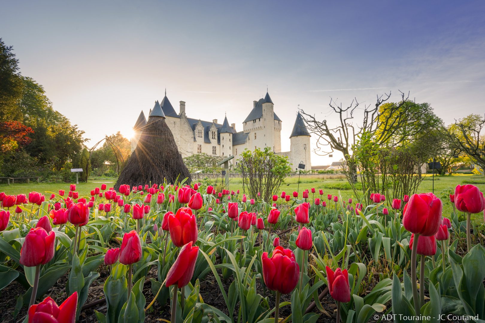 Les jardins du Château du Rivau