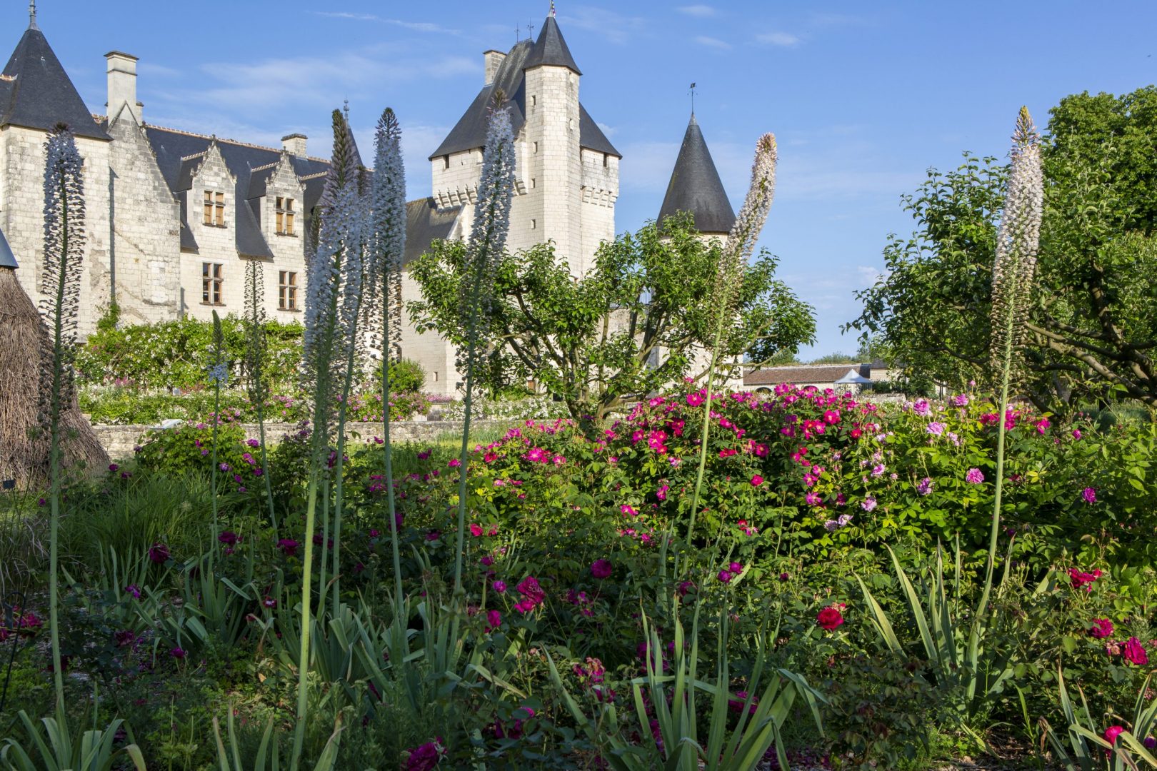 juin-au-jardin juin au jardin