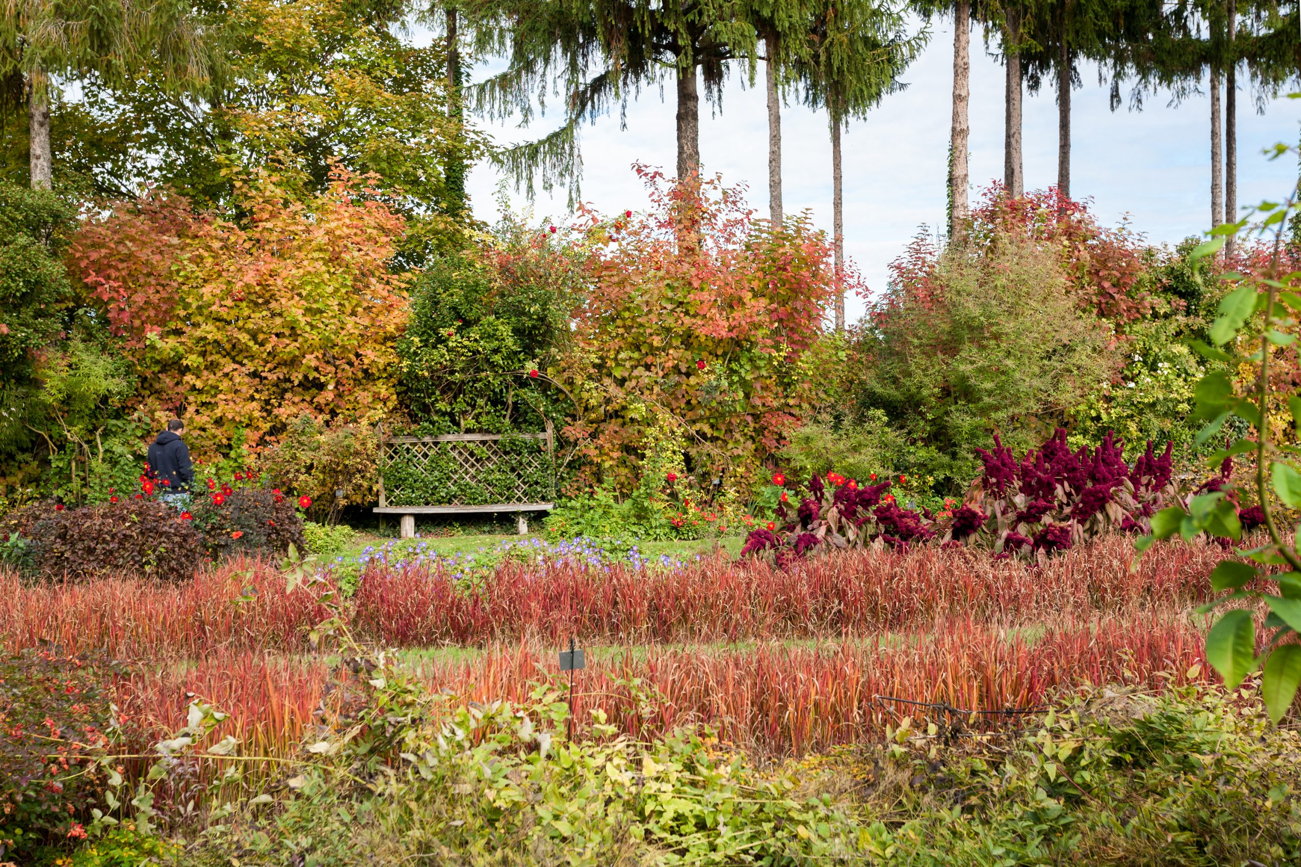 septembre-au-jardin chemin des fées septembre au jardin