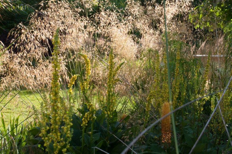 jardin-petit-poucet jardin du petit Poucet