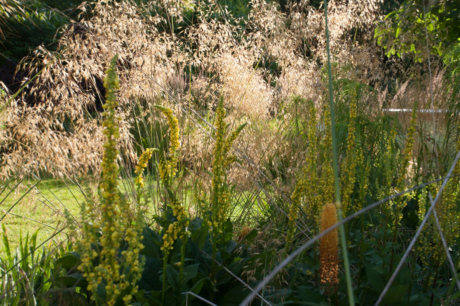 jardin du petit Poucet