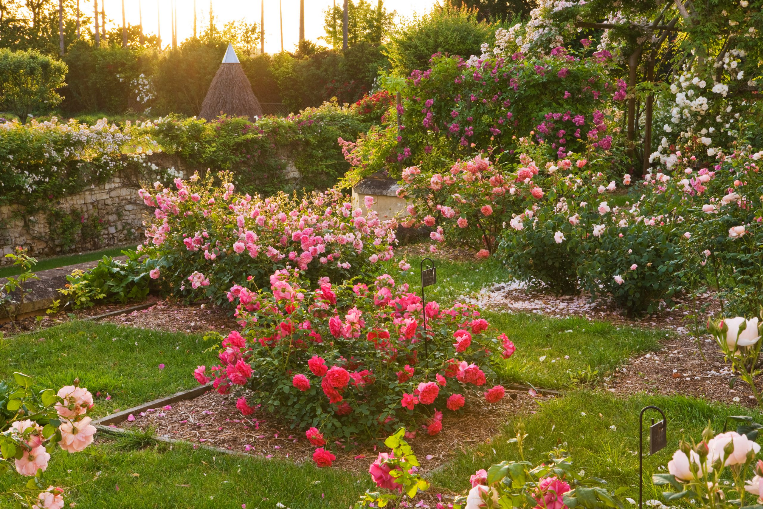 jardin-secret-rivau Jardins secret au Rivau