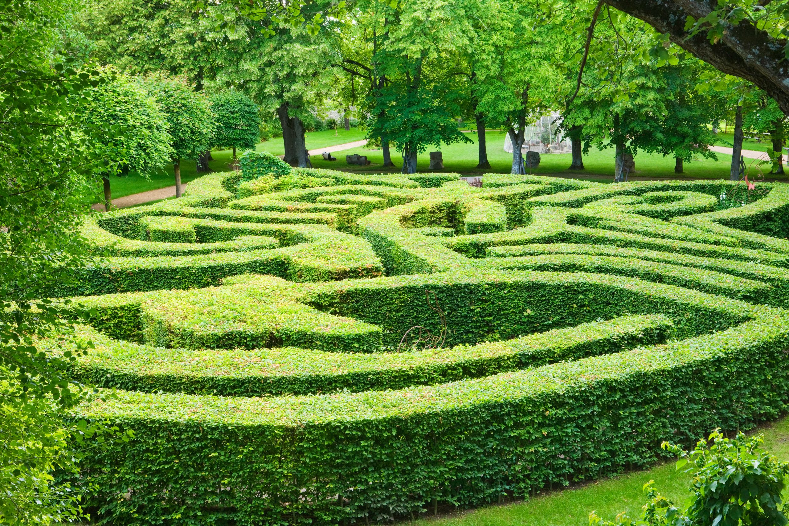 labyrinthe-rivau
