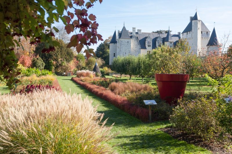 jardin octobre