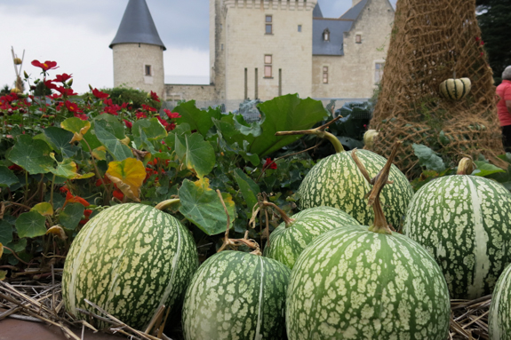 chateau du rivau