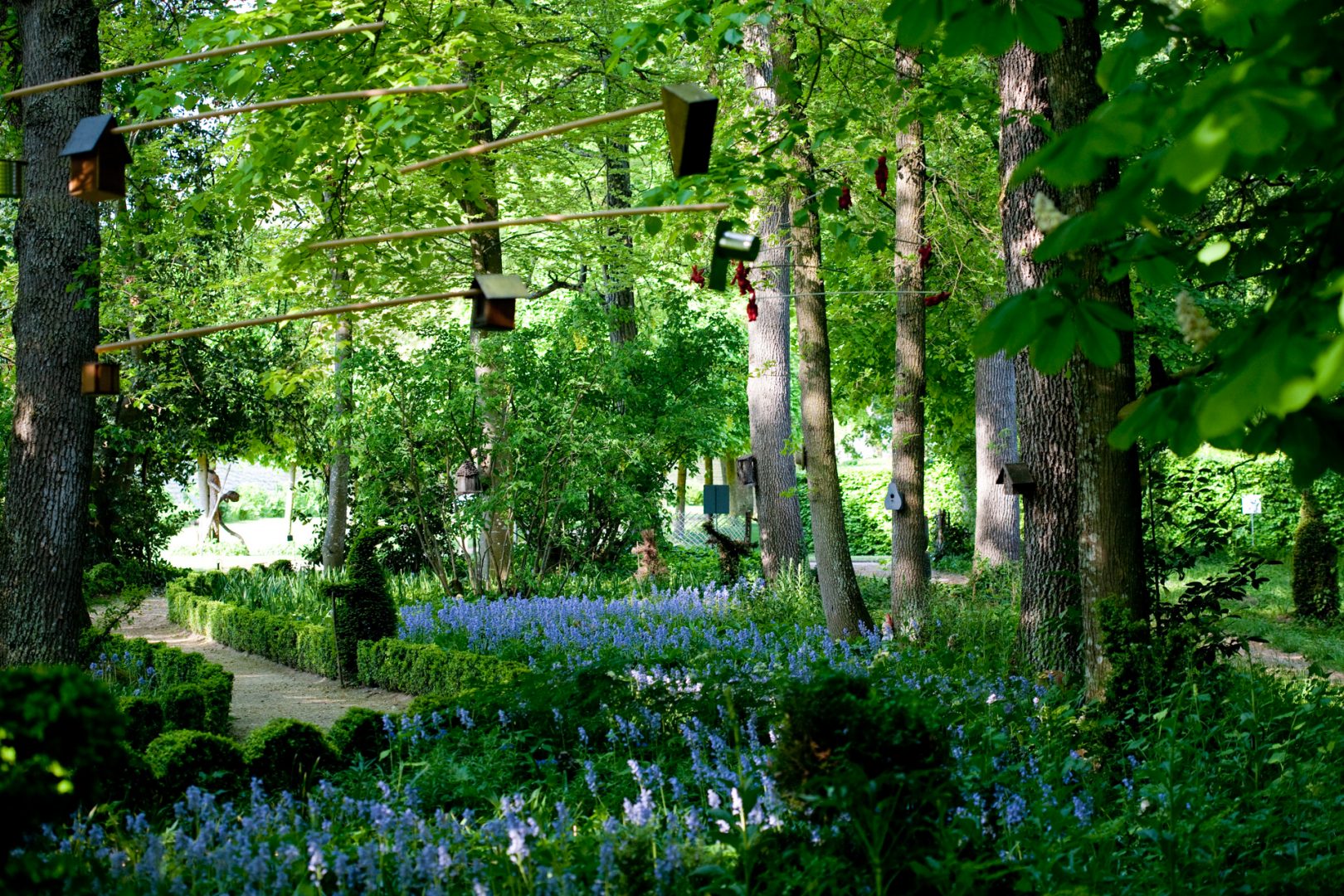 foret enchantée