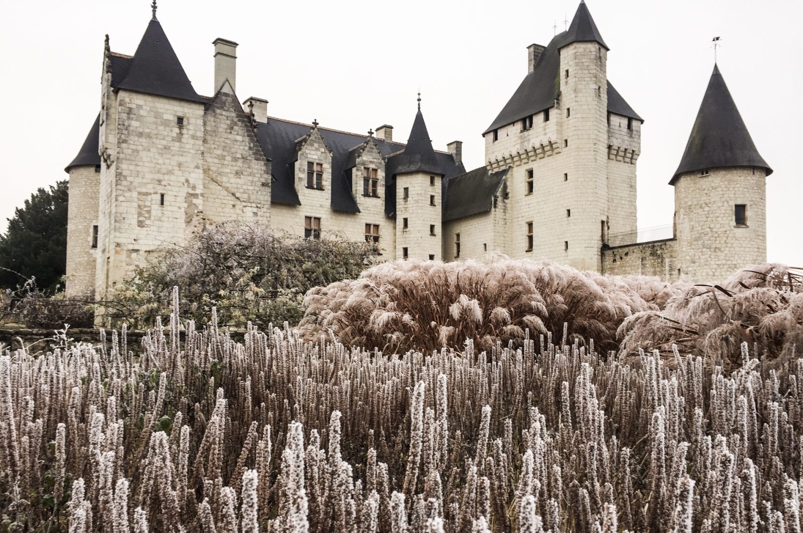 hiver au jardin