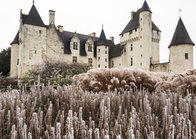 hiver au jardin