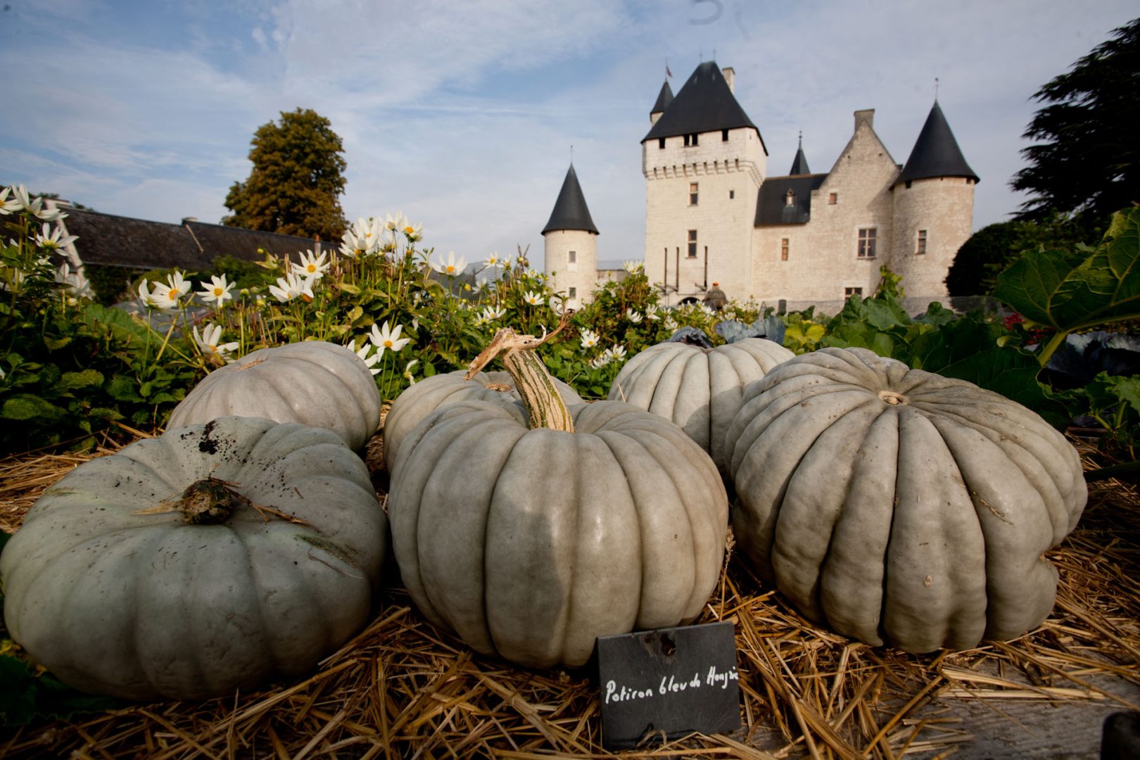 Les fleurs d'automne du château du Rivau : un festival de couleurs !