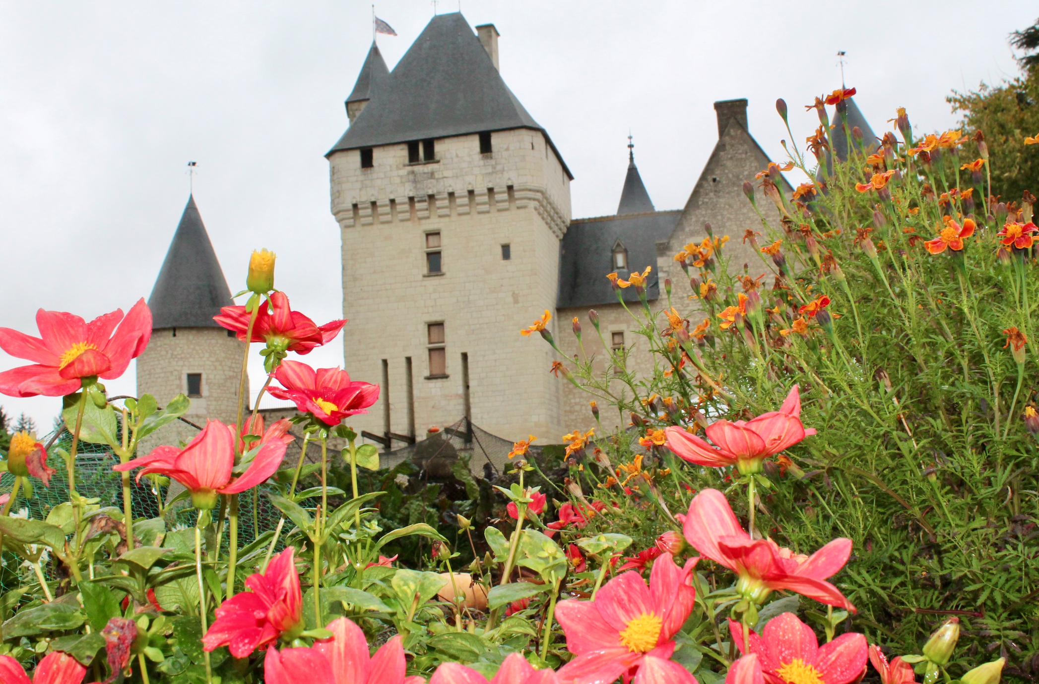 floraison d'automne