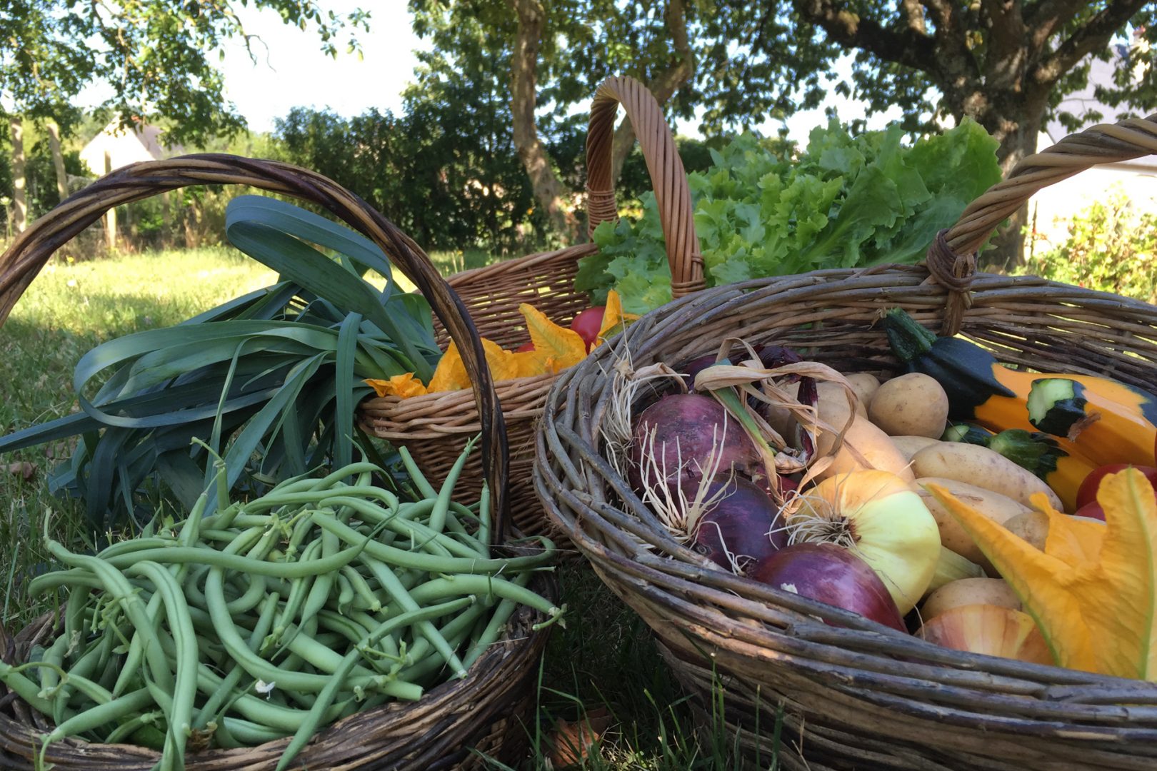 panier de legumes du rivau