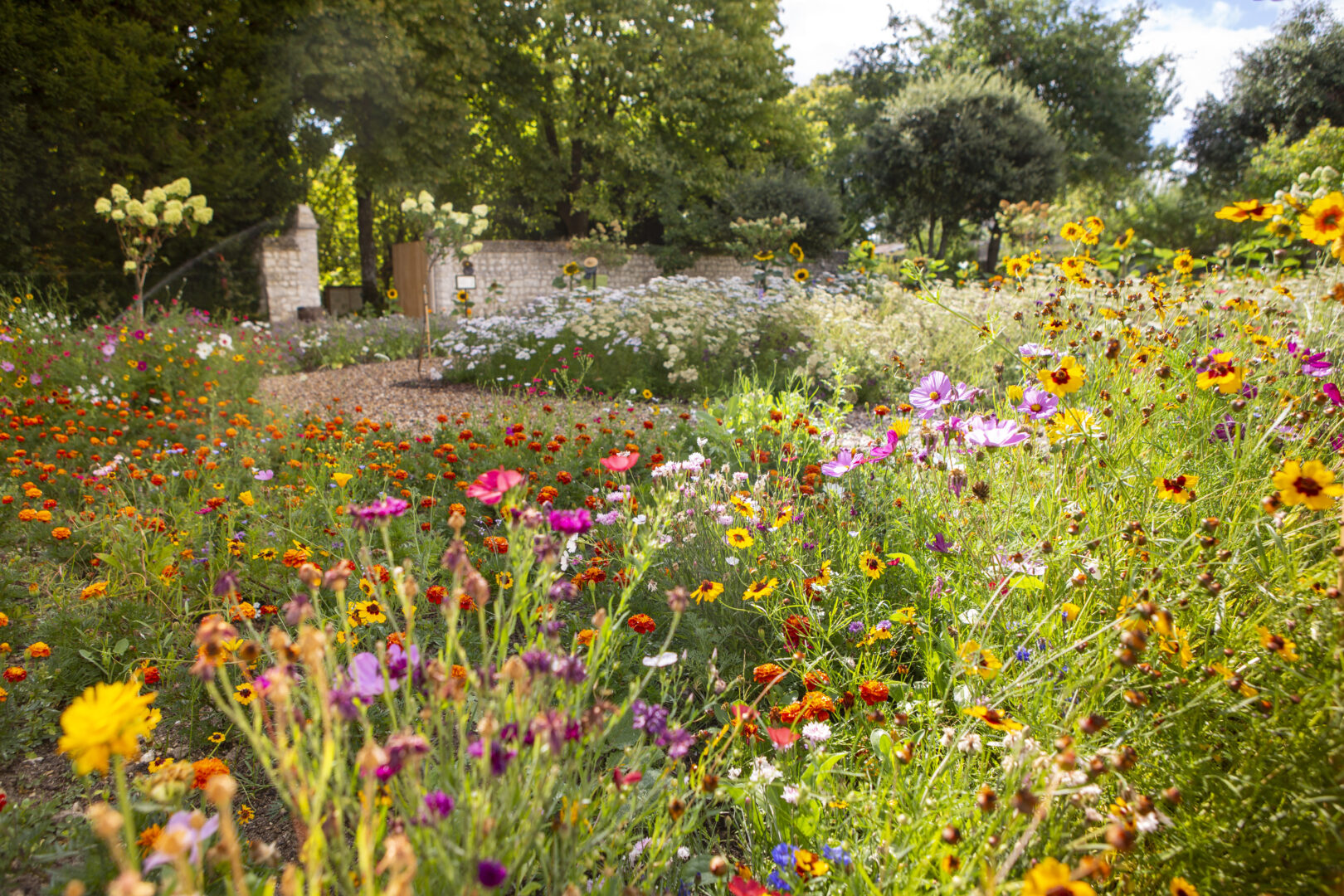 Jardin des fleurs comestibles au Château du Rivau