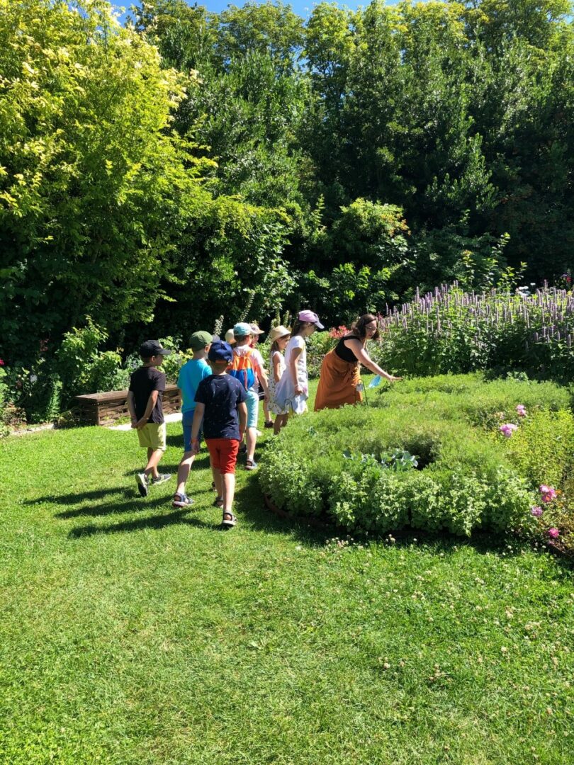 Visite-atelier Enchantement des plantes au Chateau du Rivau activité été 2023 en Val de Loire Visite-atelier Enchantement des plantes au Chateau du Rivau activité été 2023 en Val de Loire
