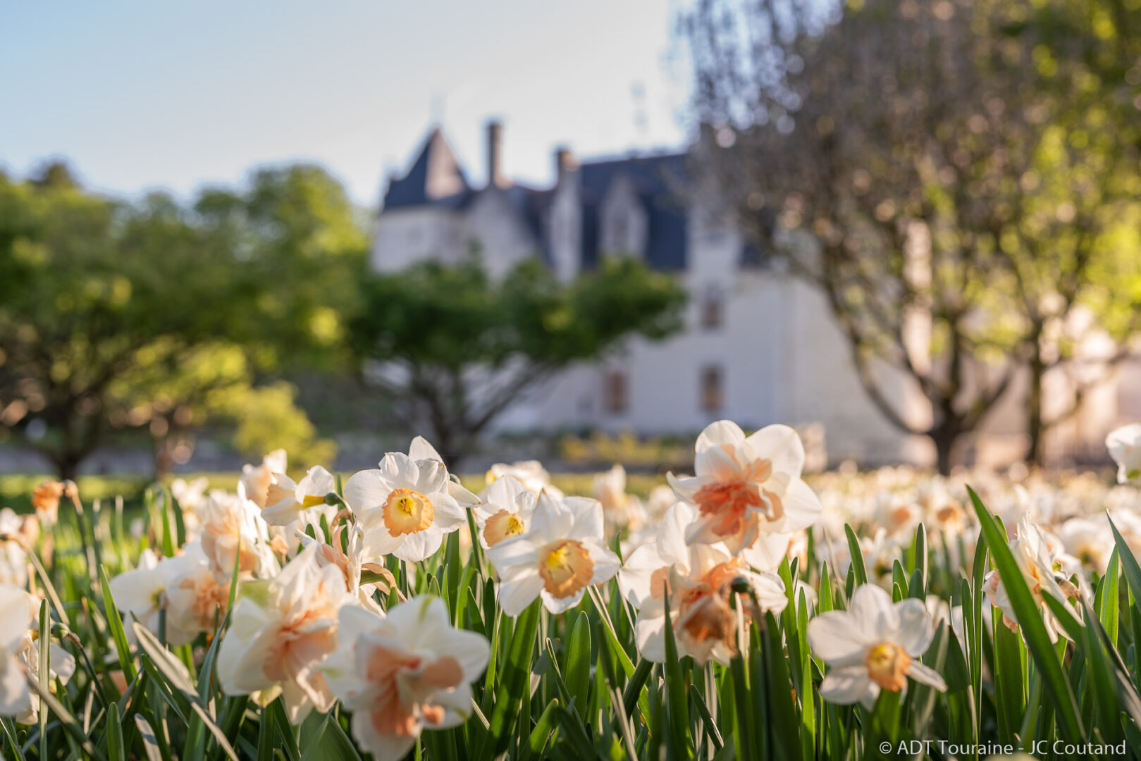 Chateau du Rivau - Jardin du Petit Poucet printemps - Credit ADT Touraine JC.Coutand