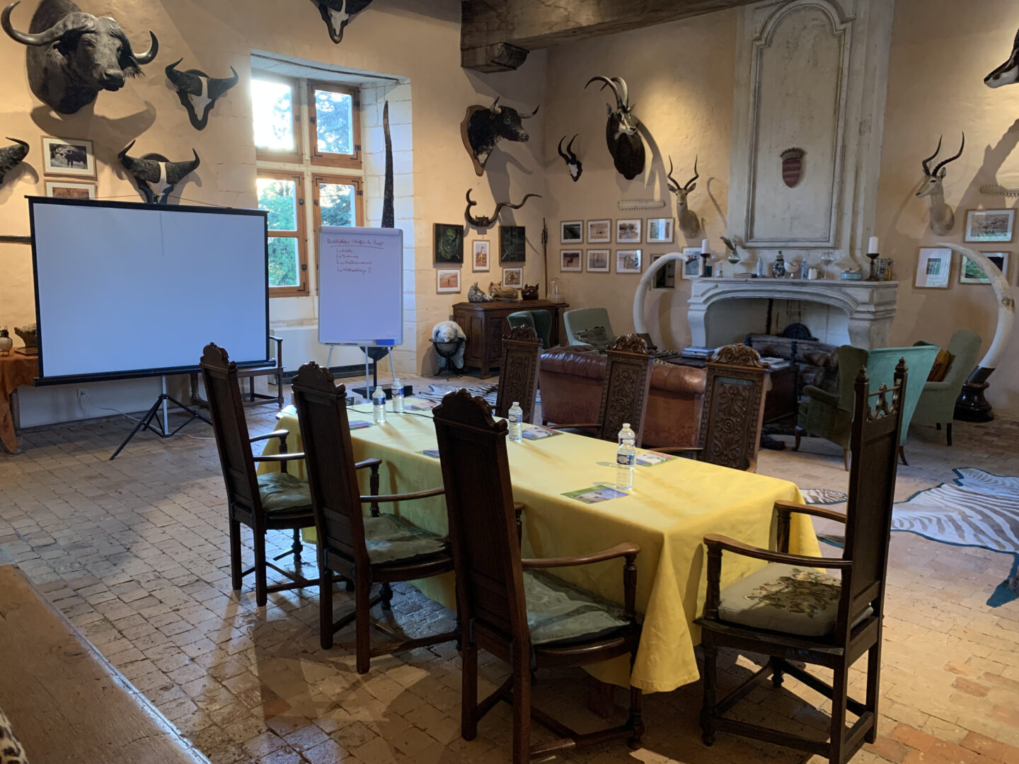 Salon des curiosités, salle de séminaire au Château du Rivau