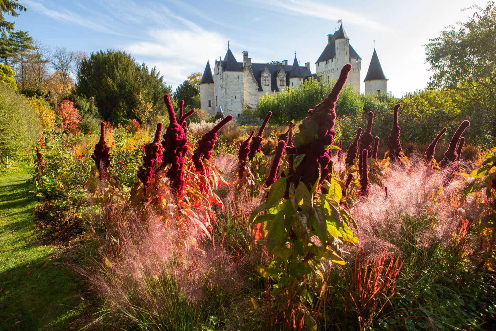 Château du Rivau - Chemin des Fées en octobre