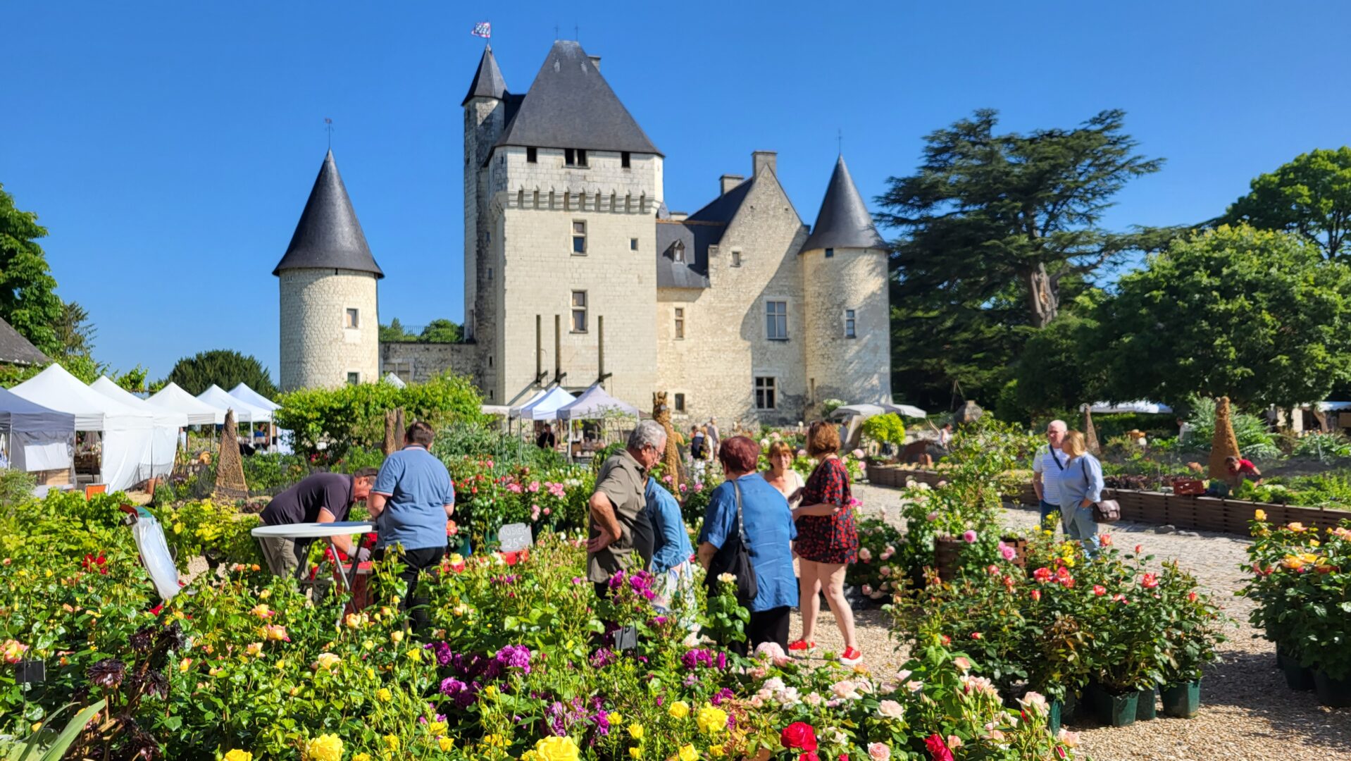Fête de la Rose au Château du Rivau 1er et 2 juin 2024