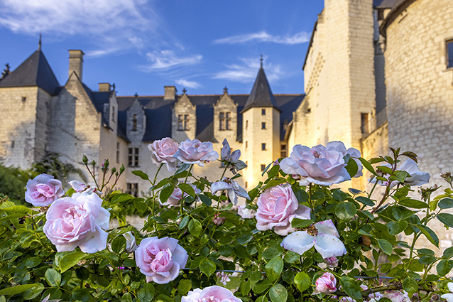 Fête des RosesBD©ChateauduRivau.D .Darrault Fête de la rose au Château du Rivau le 3 et 4 juin 2023