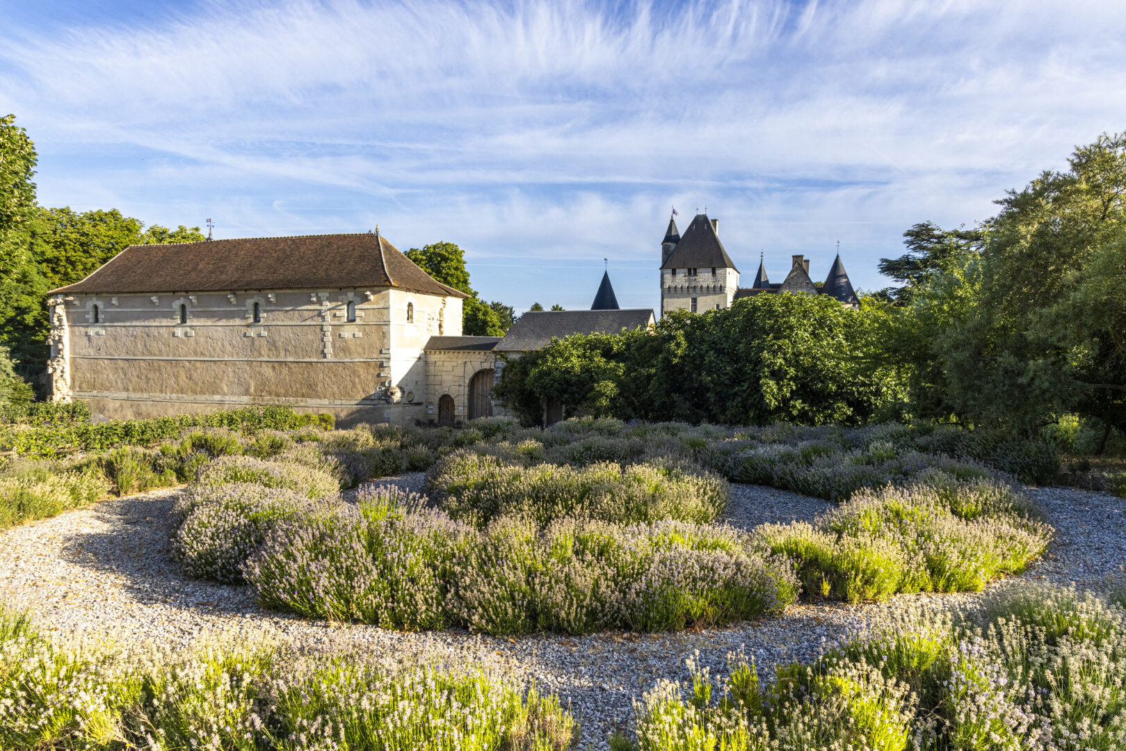 lavandes au Château du Rivau