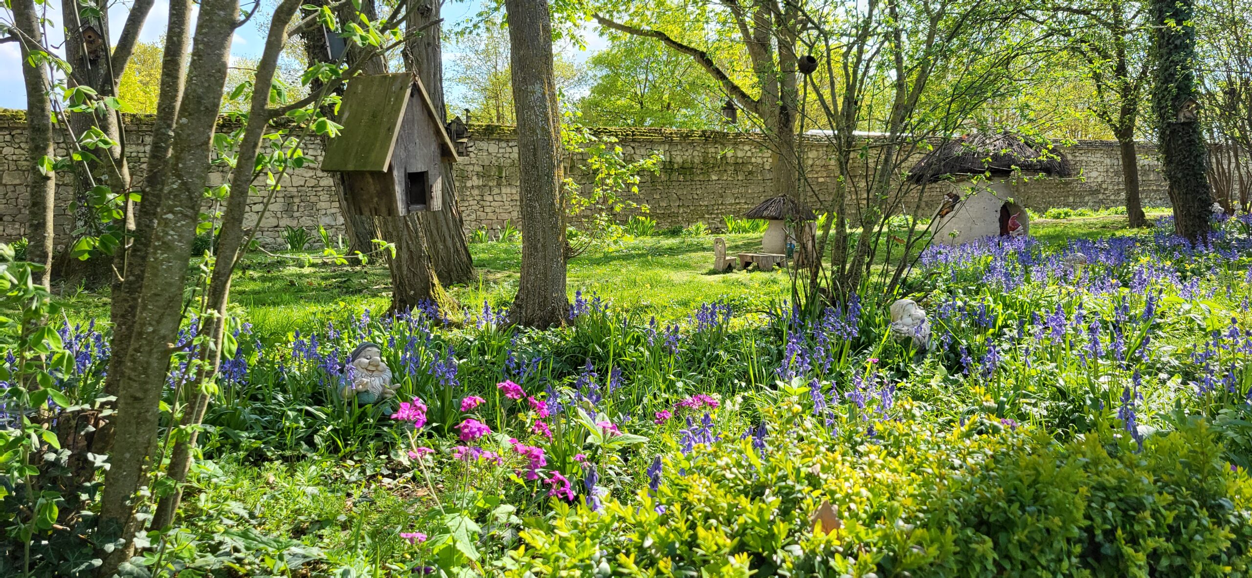 Foret Enchantee Jardin Remarquable Chateau du Rivau Val de Loire avril floraison