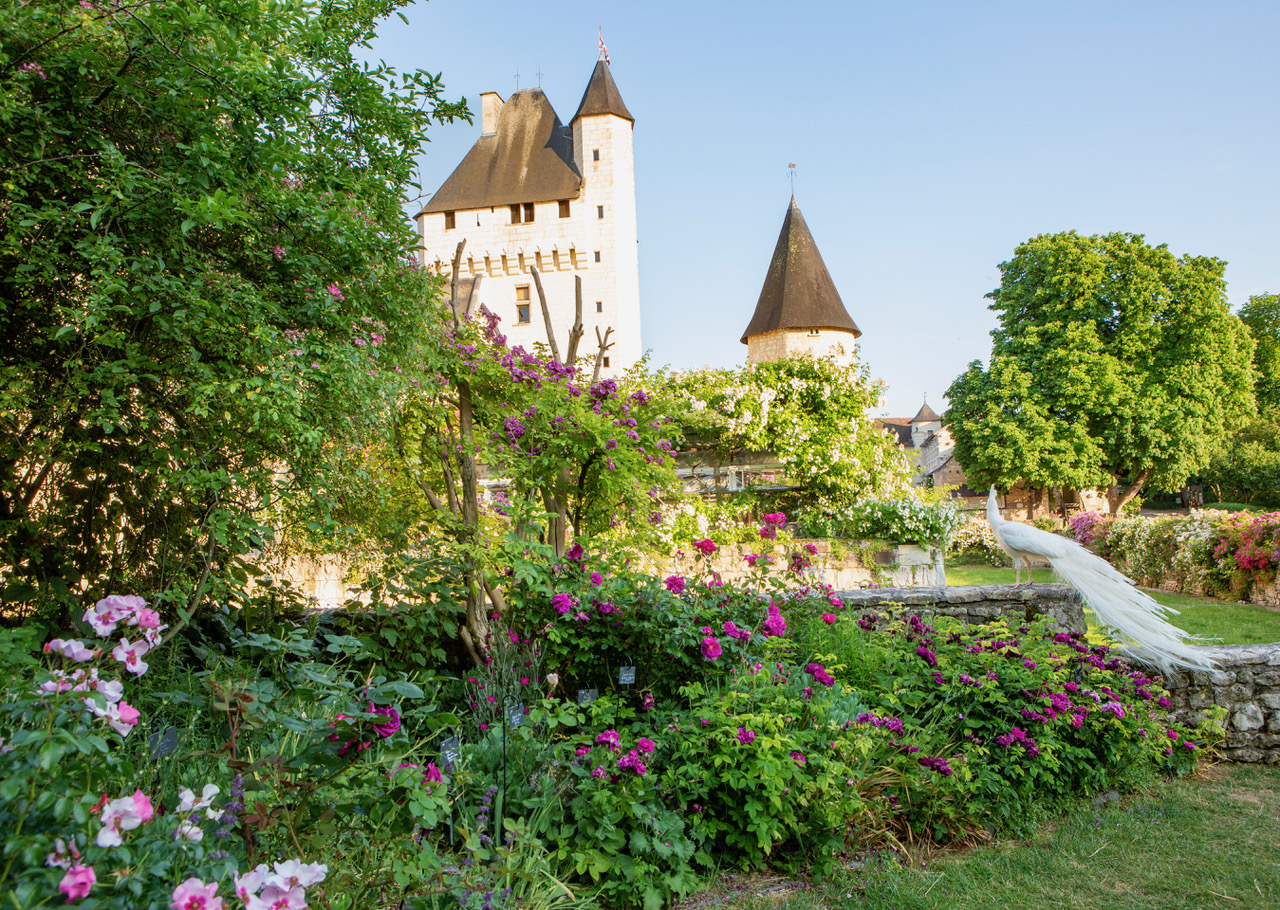Le jardin de roses ©Château du Rivau Philtre d'amour