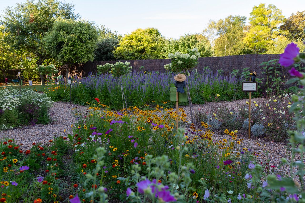 Jardin des fleurs comestibles au Château du Rivau