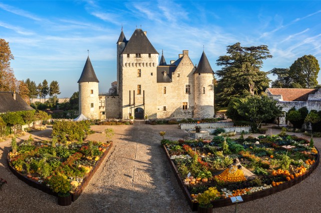 Curiosités au jardin