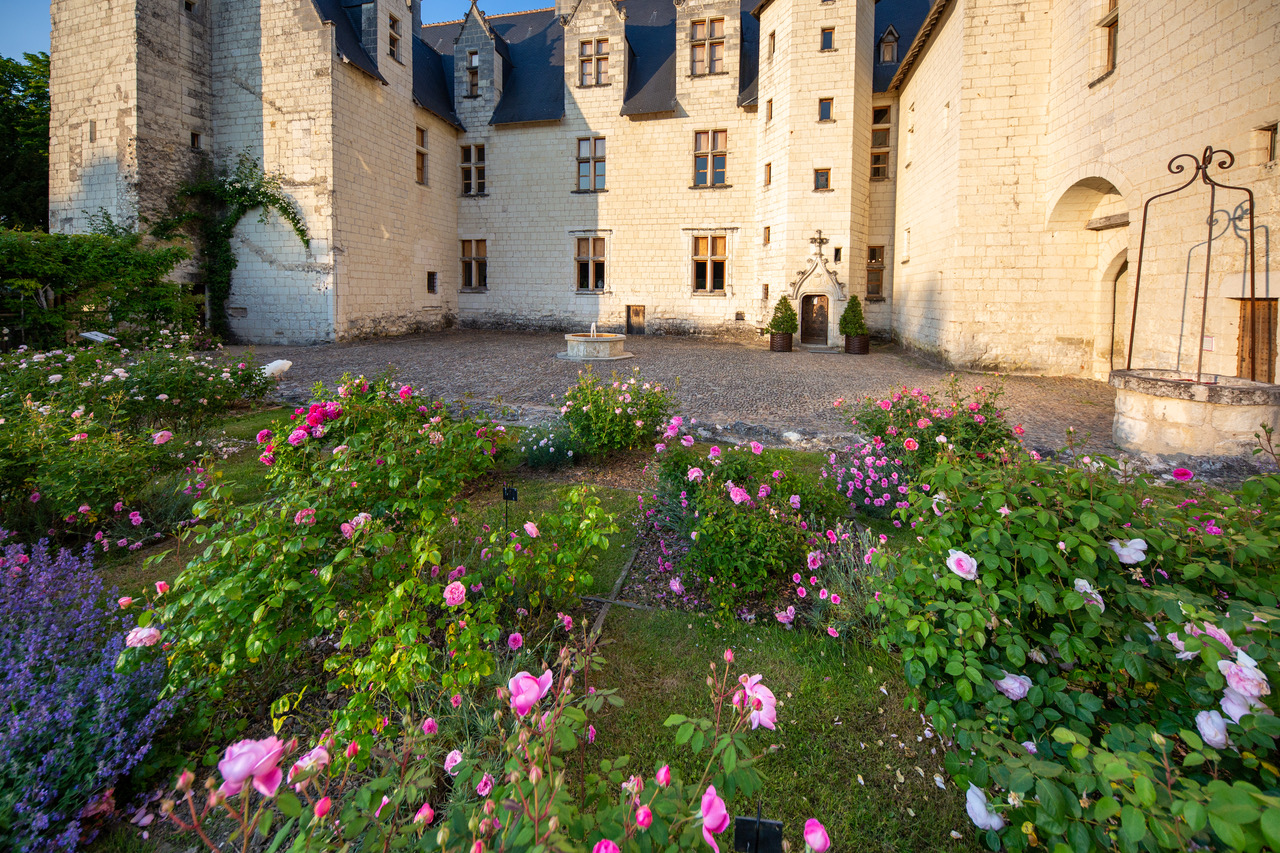 Collection de roses parfumées Château du Rivau