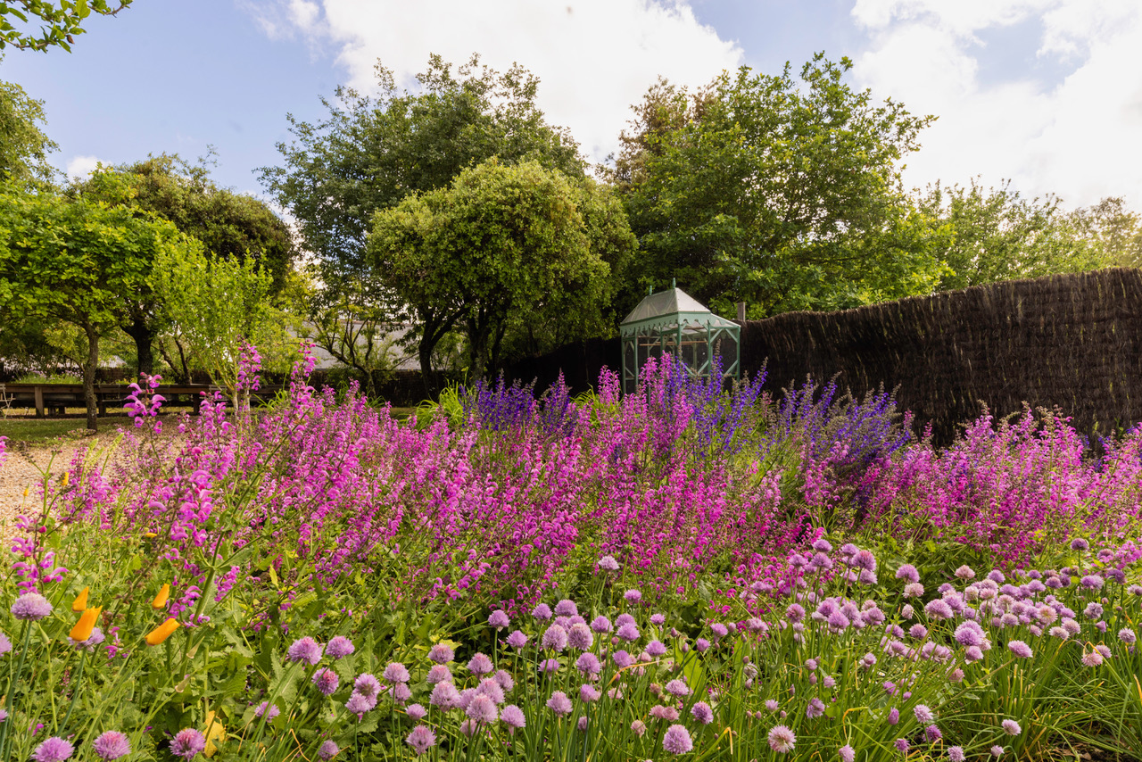 Jardin des fleurs comestibles au Château du Rivau